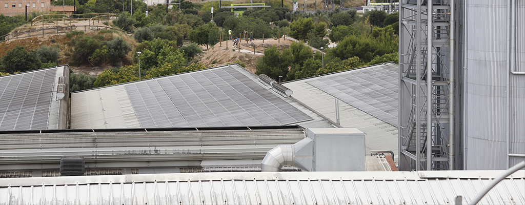 La planta fotovoltaica de Estrella de Levante genera la energía equivalente a la necesaria en cien hogares para un año